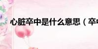 心臟卒中是什么意思(卒中是什么意思)
