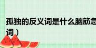孤獨的反義詞是什么腦筋急轉彎(孤獨的反義詞)