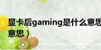 顯卡后gaming是什么意思(gaming是什么意思)