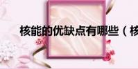核能的優缺點有哪些(核能的優缺點)