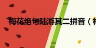 梅花絕句陸游其二拼音(梅花絕句 陸游)