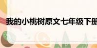 我的小桃樹原文七年級下冊(我的小桃樹)