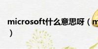 microsoft什么意思呀(microsoft什么意思)