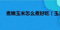 煮嫩玉米怎么煮好吃(玉米怎么煮好吃)
