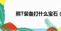 熊T裝備打什么寶石(熊t裝備)