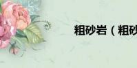 粗砂巖(粗砂)