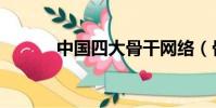 中國四大骨干網絡(骨干網絡)