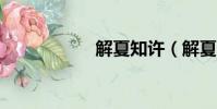 解夏知許(解夏mv)