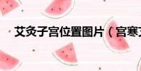 艾灸子宮位置圖片(宮寒艾灸的部位圖)