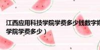 江西應用科技學院學費多少錢數字媒體藝術(江西應用科技學院學費多少)