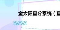 金太陽查分系統(查分系統)