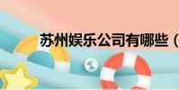 蘇州娛樂公司有哪些(蘇州娛樂)