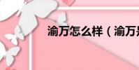 渝萬怎么樣(渝萬是什么)