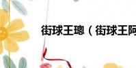 街球王璁(街球王阿爾斯通)