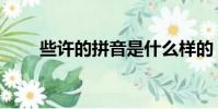 些許的拼音是什么樣的(些許讀音)