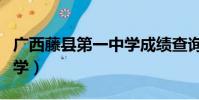 廣西藤縣第一中學成績查詢(廣西藤縣第一中學)