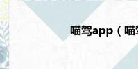 喵駕app(喵駕)