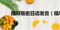 哦呀斯密日語發音(哦呀斯密日語)