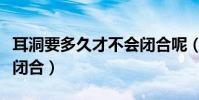 耳洞要多久才不會閉合呢(耳洞要多久才不會閉合)