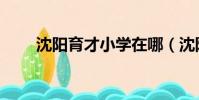 沈陽育才小學在哪(沈陽育才小學)