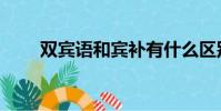 雙賓語和賓補有什么區別(雙賓語)