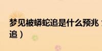 夢見被蟒蛇追是什么預兆 女性(夢見被蟒蛇追)