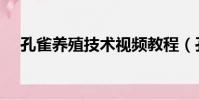 孔雀養殖技術視頻教程(孔雀養殖技術)