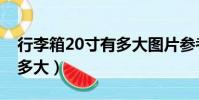 行李箱20寸有多大圖片參考(行李箱20寸有多大)