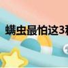 螨蟲最怕這3種東西（花露水能殺死螨蟲嗎）