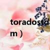 toradostdaram哪個小說（toradostdaram）