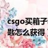 csgo買箱子和鑰匙去哪個平臺（csgo箱子鑰匙怎么獲得）