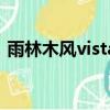 雨林木風vista精簡版下載（雨林木風vista）