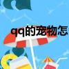 qq的寵物怎么退出去（qq寵物怎么離婚）