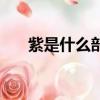 紫是什么部首叫什么（紫是什么部首）