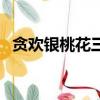 貪歡銀桃花三部全集（貪歡銀桃花第三部）