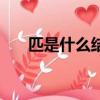 匹是什么結構的生字（匹是什么結構）