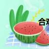 合歡花圖片（合歡4轉）