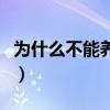 為什么不能養獅子貓（獅子貓多少錢一只幼崽）