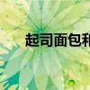 起司面包和吐司面包區別（起司面包）