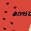 高爾基資料卡40字（高爾基資料）