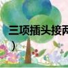 三項插頭接兩根線圖（三項插頭怎么接兩根線）
