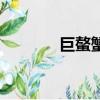 巨螯蟹多少錢一只（巨螯蟹）