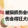 被貓抓傷會得狂犬病嗎24小時之內（被貓抓傷會得狂犬病嗎）