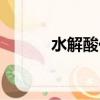 水解酸化停留時間（水解酸化）