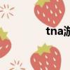 tna游戲最新版（tna游戲）