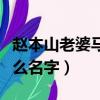趙本山老婆馬麗娟個人資料（趙本山老婆叫什么名字）