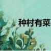 種村有菜idolish7新圖（種村有菜）
