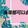 鹵菜都可以鹵什么素菜（鹵菜可以鹵什么素菜）
