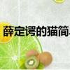 薛定諤的貓簡單解釋（薛定諤的貓通俗解釋）