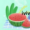 ivivc是什么意思（iv iv）